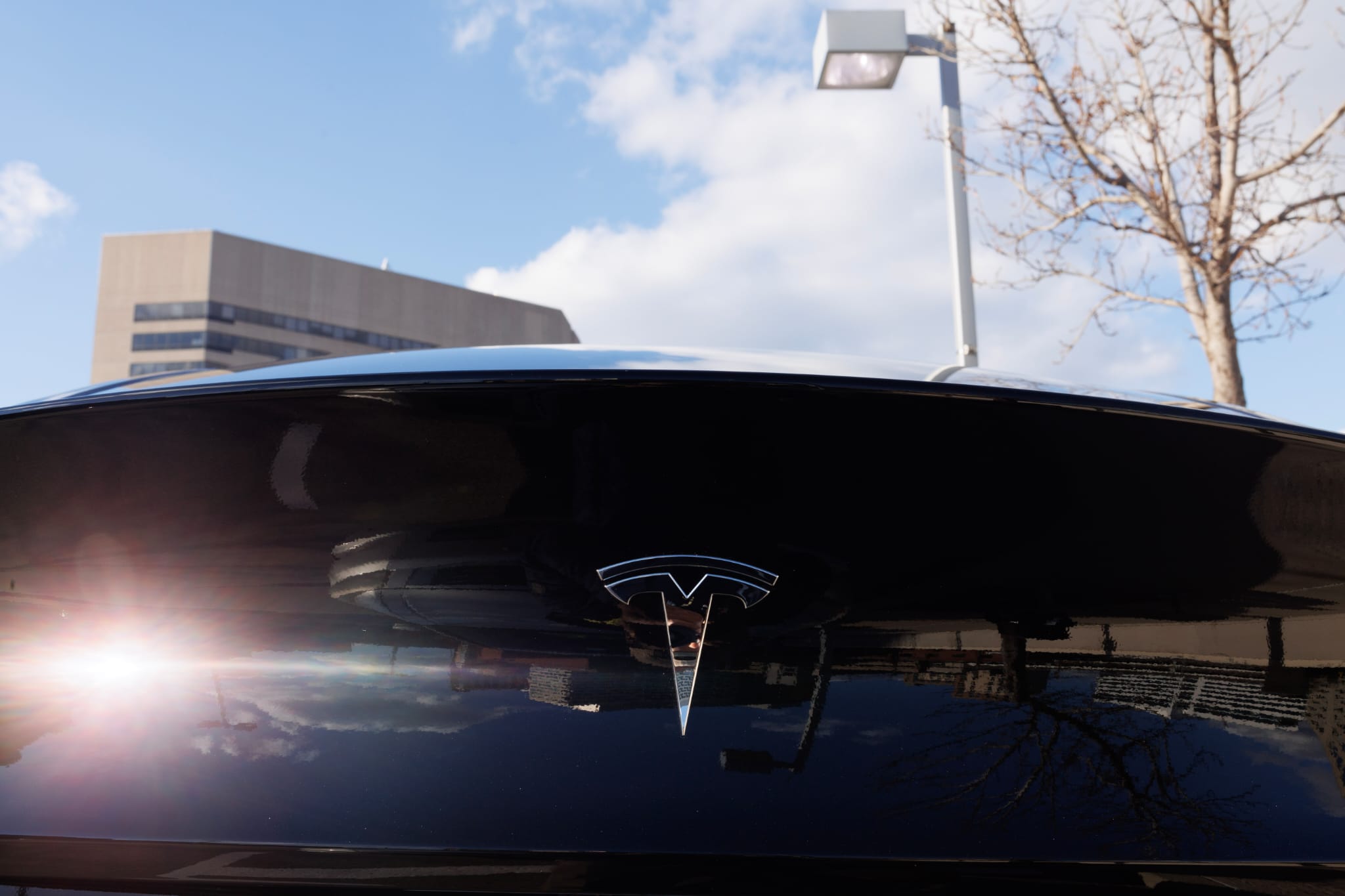 Tesla logo on spoiler